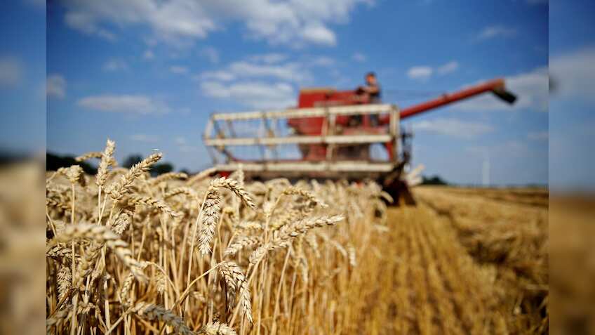 Record wheat procurement at 388.34 lakh tons