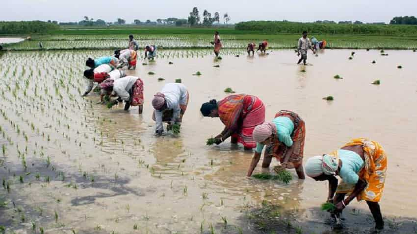 Monsoon 2020: Rain clobbers Maharashtra, high alert in Konkan | Zee ...