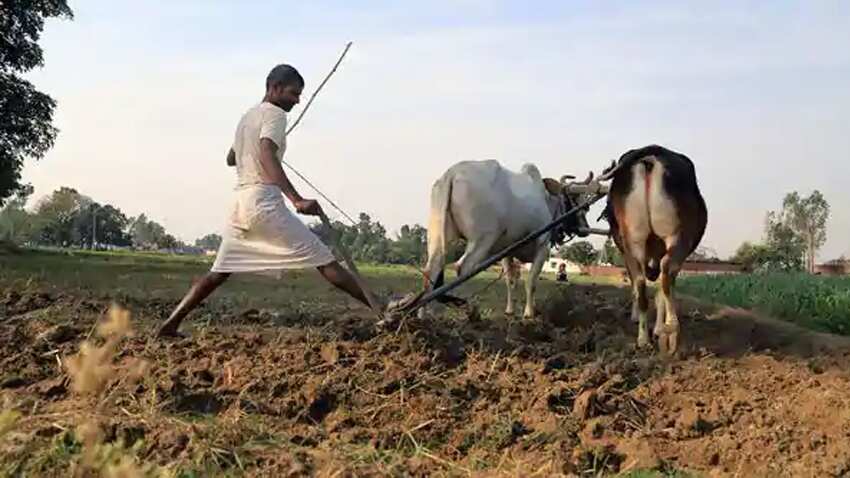 Good news for farmers of this state! Government confirms to bear insurance premium