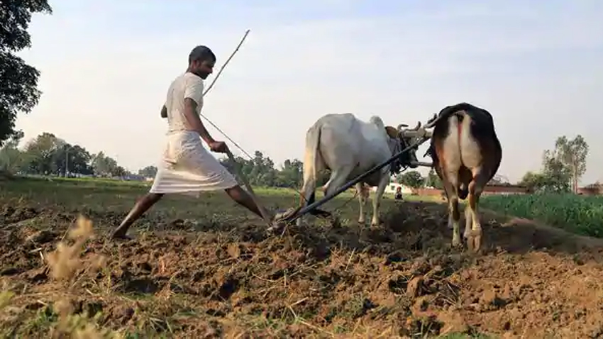 Good news for farmers of this state! Government confirms to bear insurance premium