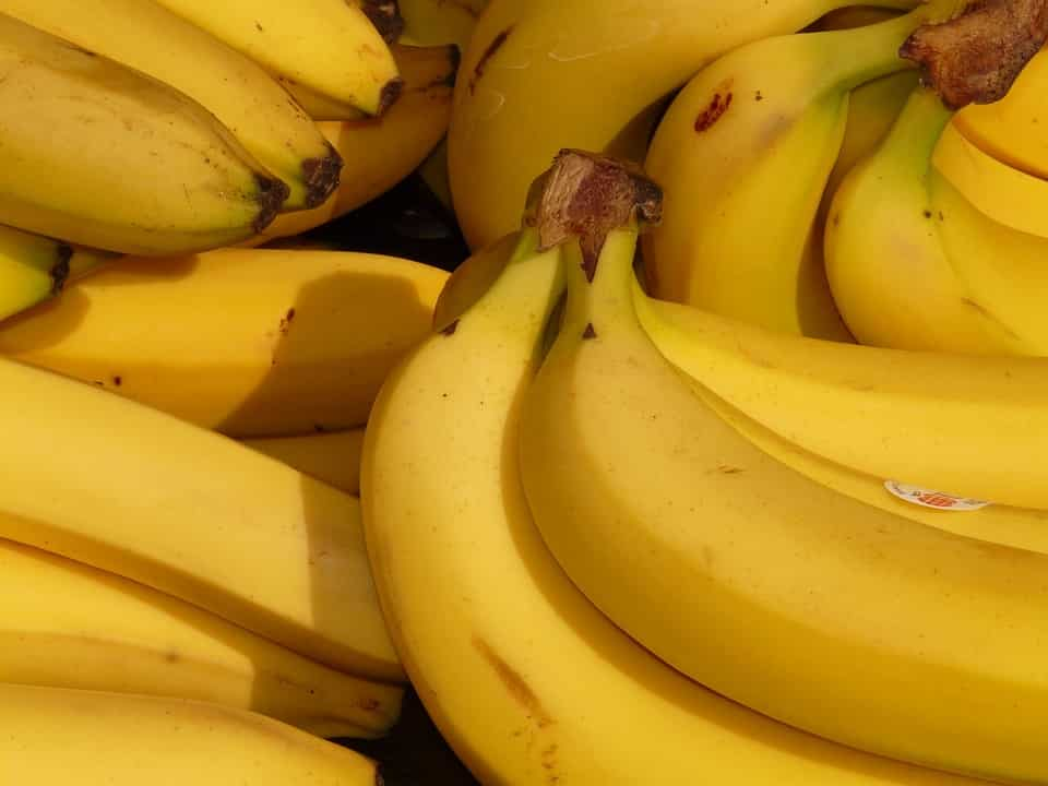 Bananas 