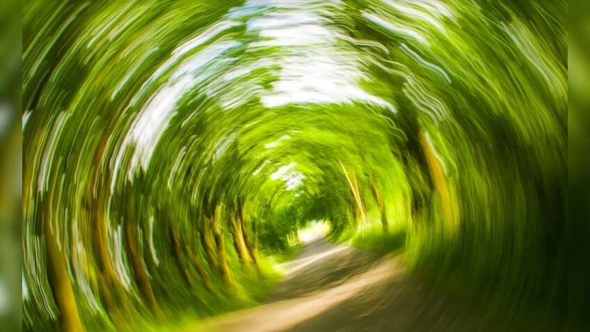High dementia risk to those who feel dizzy on standing
