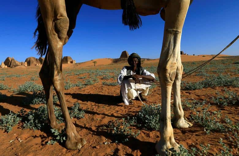 Rural tourism over cities