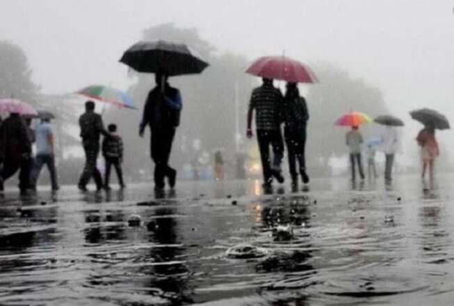 Telangana rain news today: Heavy rains kill 11 people