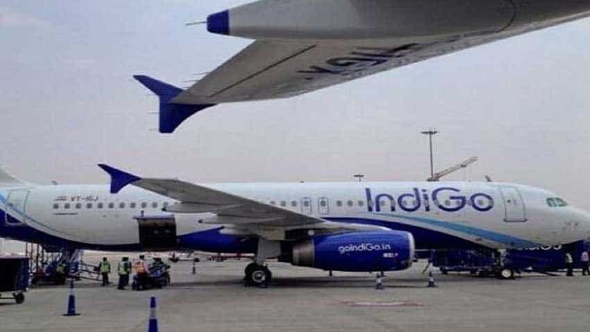 IndiGo introduces door-to-door baggage transfer service | Zee Business