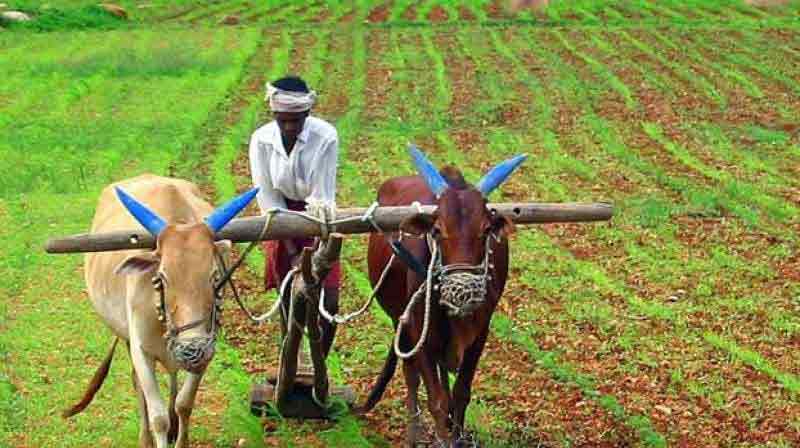 What is PM-KISAN scheme?