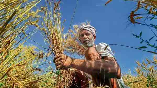 How PM-KISAN scheme works 