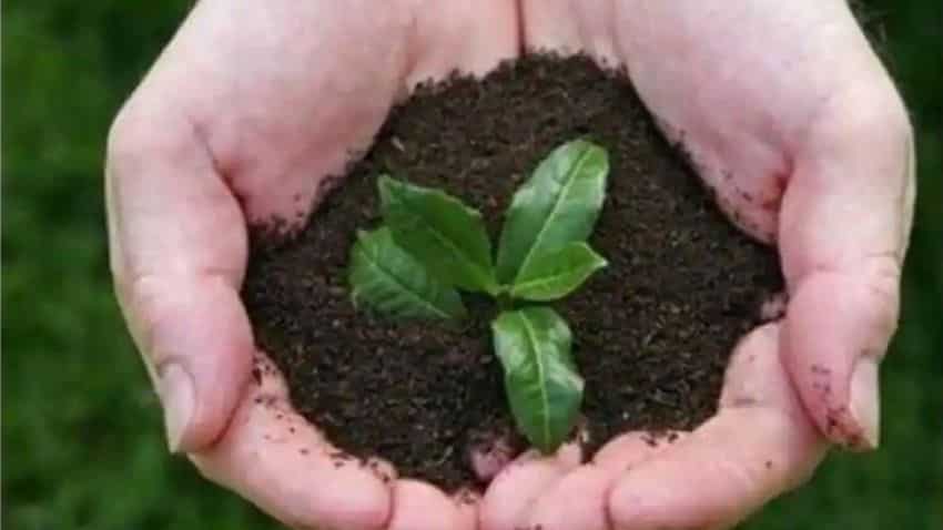 Happy World Environment Day 21 Themes History Wishes Etc What You Need To Know About This Important Day India News Republic