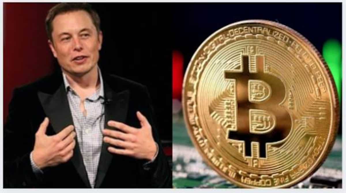 Cryptocurrency Latest News Today June 14: Bitcoin leads crypto rally, up  over 12% after ELON MUSK TWEET; Check Ethereum, Polka Dot, Dogecoin, Shiba  Inu and other top coins INR price -World, India updates