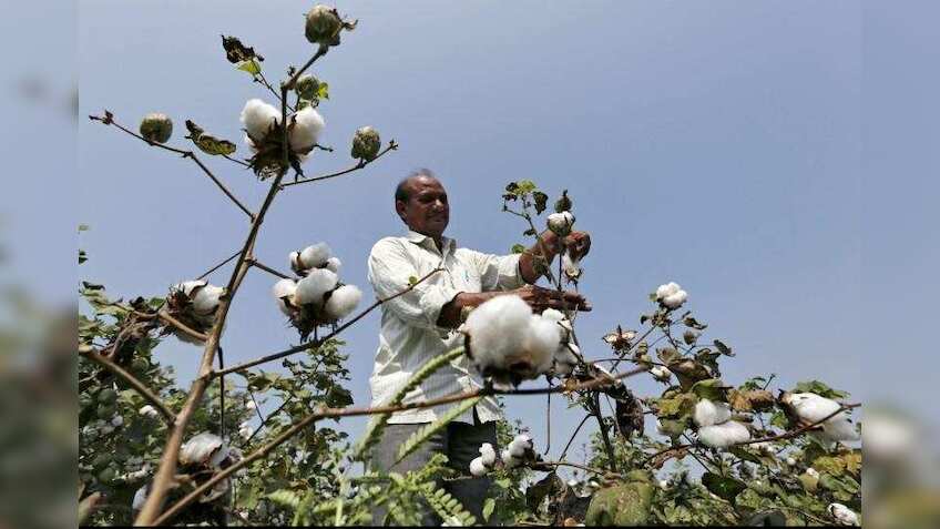 Lagnam Spintex declares Q1 FY22 results - Check turnover, PAT and other financials 
