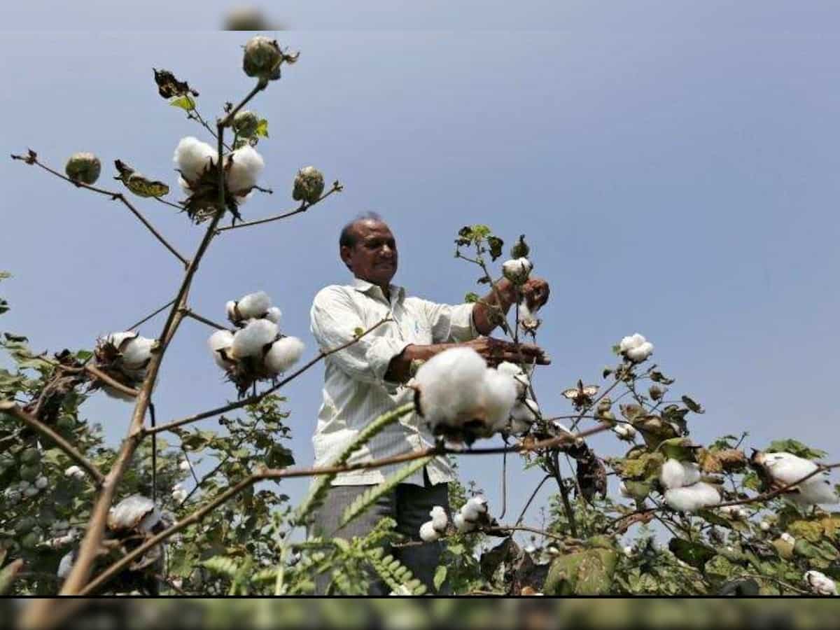 Lagnam Spintex declares Q1 FY22 results - Check