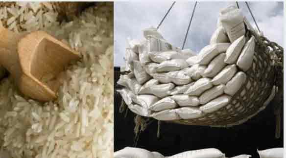 India's rice export on the rise! KRBL Ltd, LT Foods and Chaman Lal Setia shares to benefit the most, says this analyst  