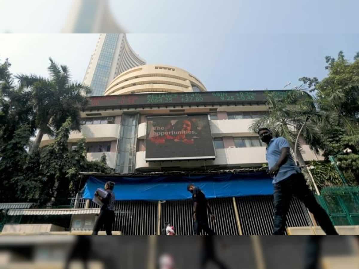 Retail investors raise stakes in over 50% of