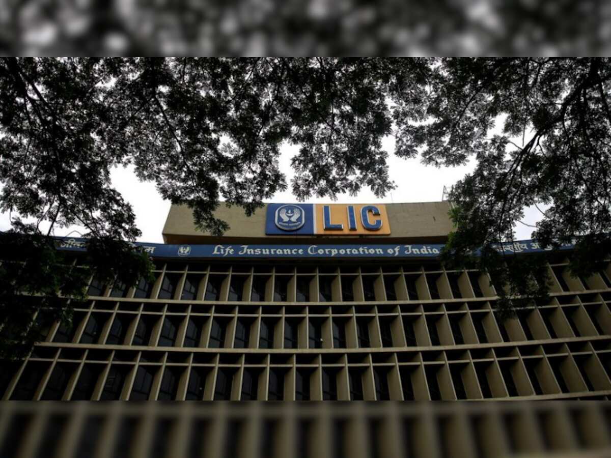 How to check LIC policy status online? -