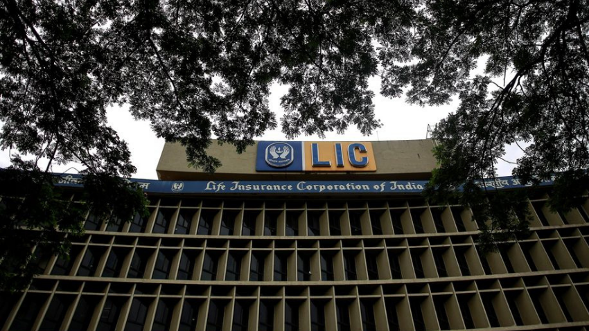 How to check LIC policy status online? -