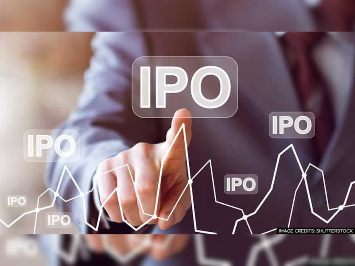 Which are the top 12 IPOs that received