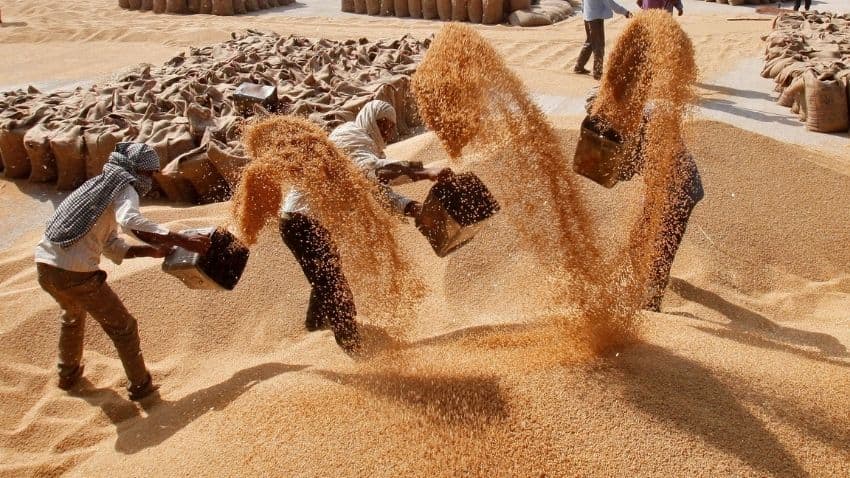 Year Ender 2021: Record foodgrains production likely in 2022; farm laws repeal, price rise bitter pills for agri sector