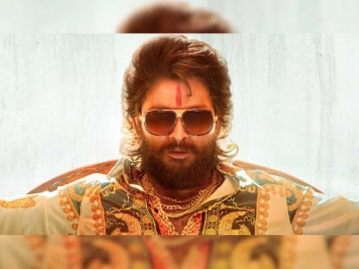 Allu Arjun Pushpa Movie Hindi Dubbed: Revealed! Shreyas