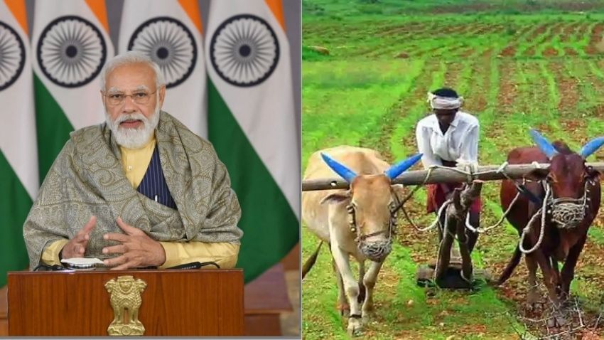 PM Kisan 10th Installment: What is Kisan Credit Card? How to apply? Know step-by-step process to apply KCC online through SBI