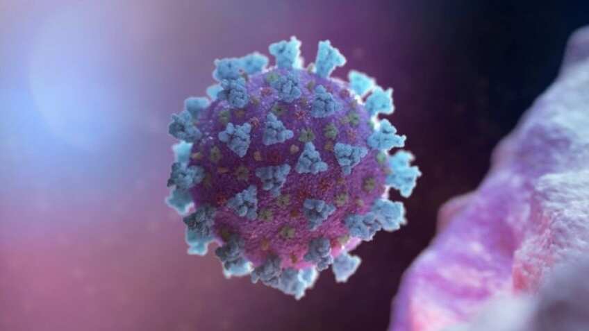 Is NeoCov a new COVID 19 variant? Does it pose threat to humans? What ...