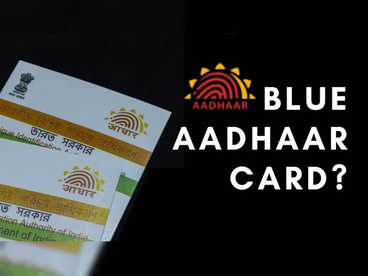 What is Blue Aadhaar Card? Check details, how