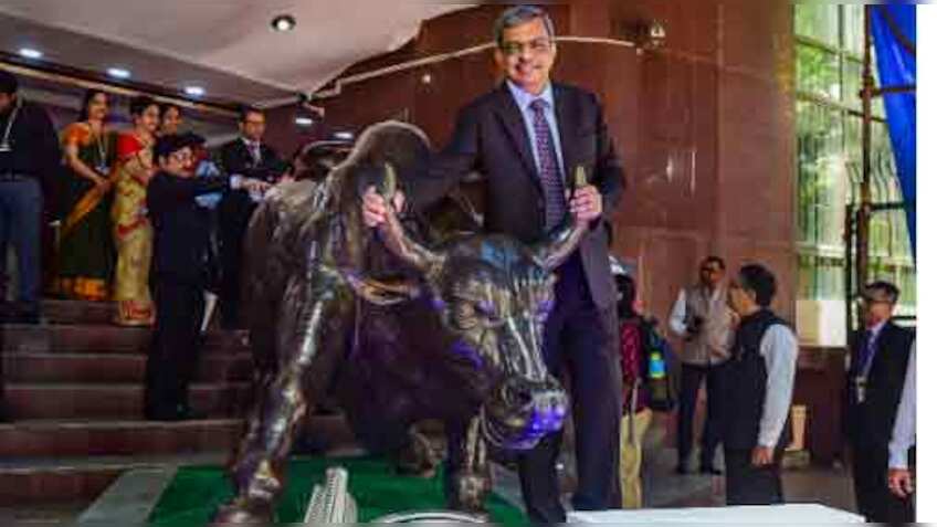 What makes LIC shares good dividend, long-term play? Experts decode