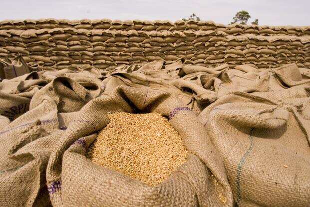 Commodities Live: 61,500 tonnes of wheat to be exported to Egypt, Watch video for more details