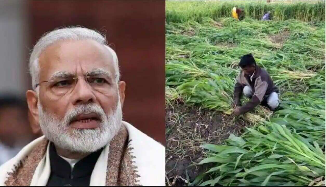 PM Kisan Yojana: 11th installment to be released soon, Check updates, eKYC last date, steps and more