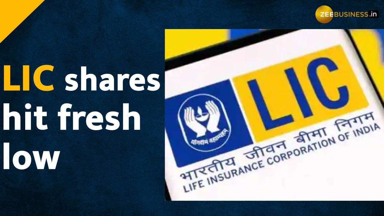 Lic Issue LIC Shares dropped to 24% over issue price, what should investors do?