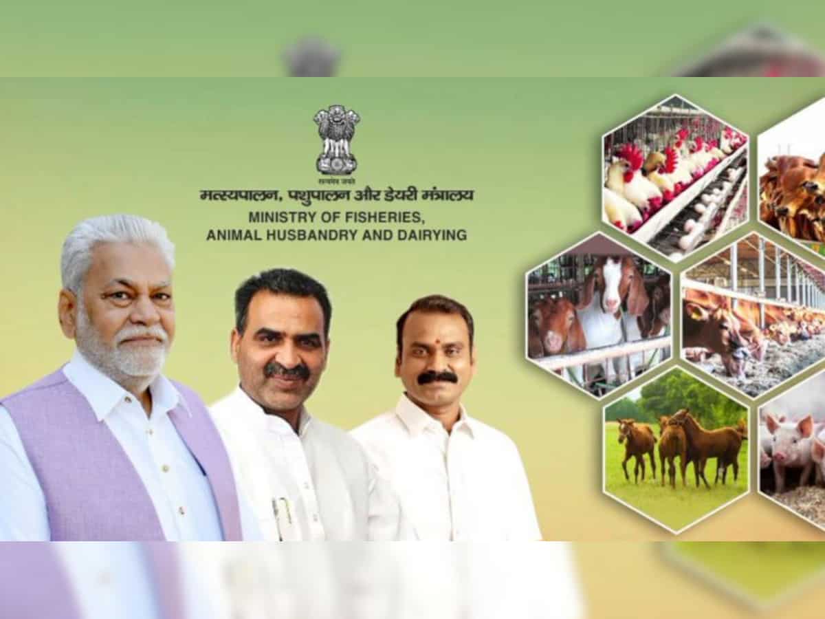 Government to launch &#039;One Health Pilot&#039; in Bengaluru