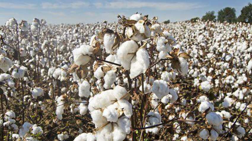 Good news for Textile importers! Government extends exemption of import duty and agri cess till 31 October