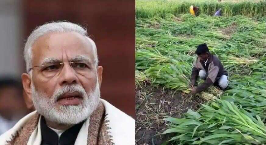 PM Kisan Income Support