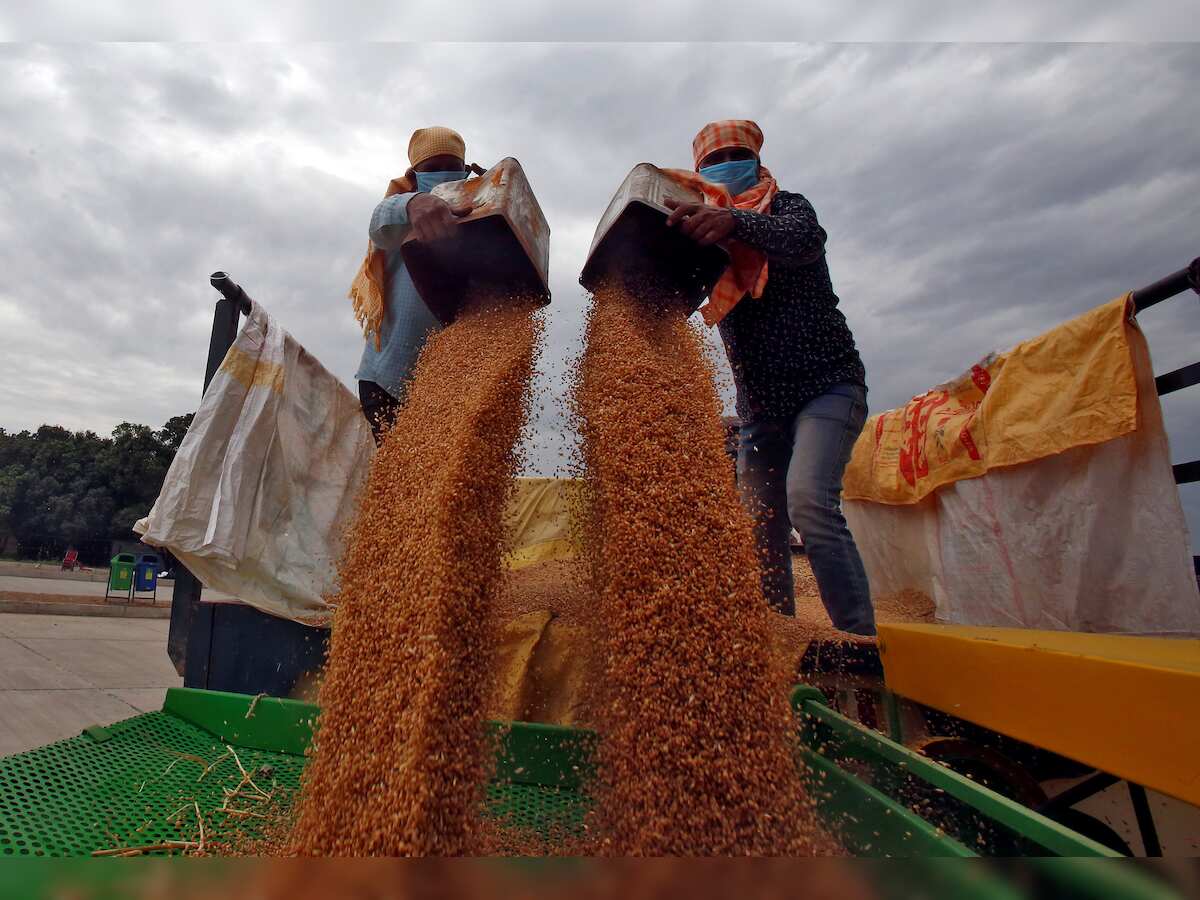 Government mulls scrapping import duty on wheat to