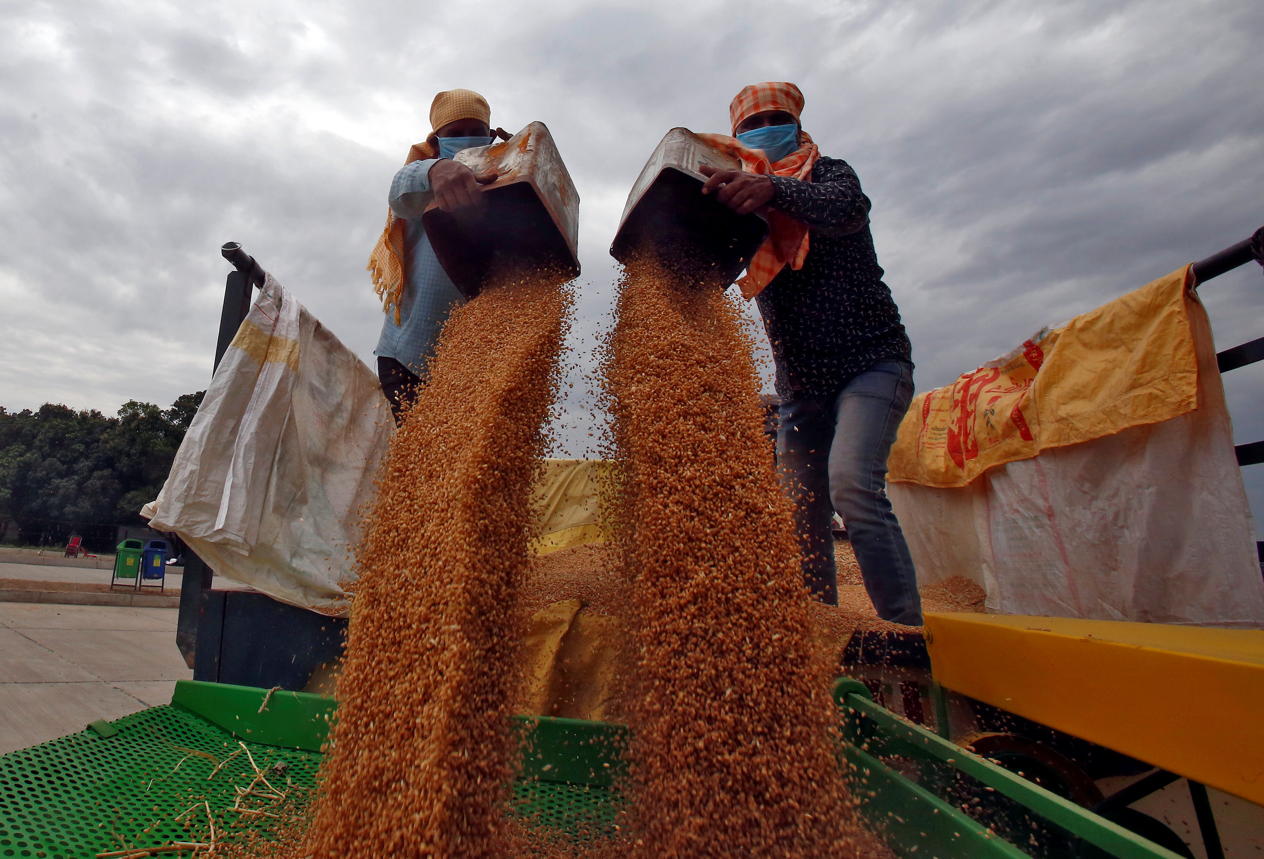 Government mulls scrapping import duty on wheat to