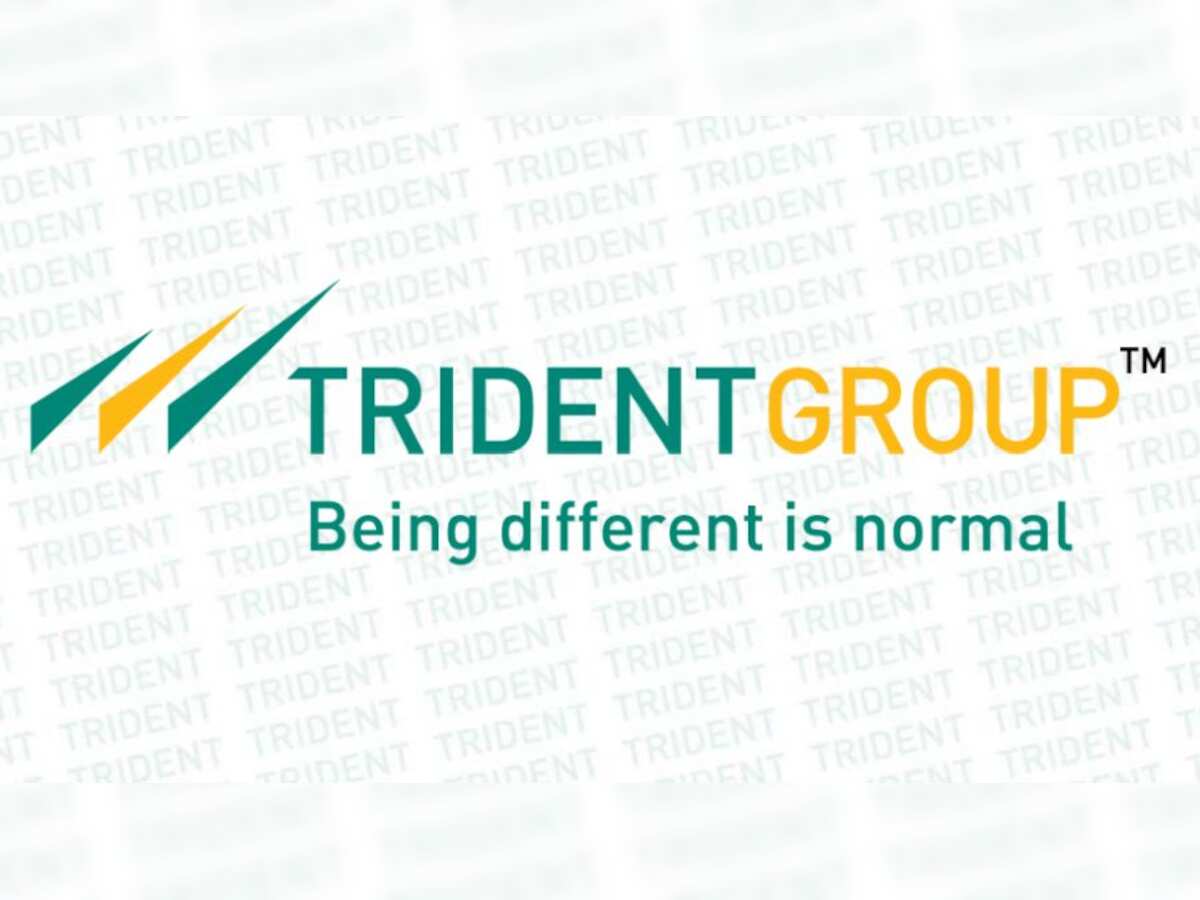 Trident result impact on share price: Scrip slumps