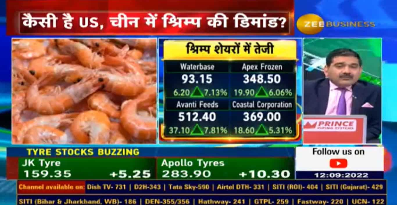 Zee Business Analyst Decodes What makes shrimp companies like