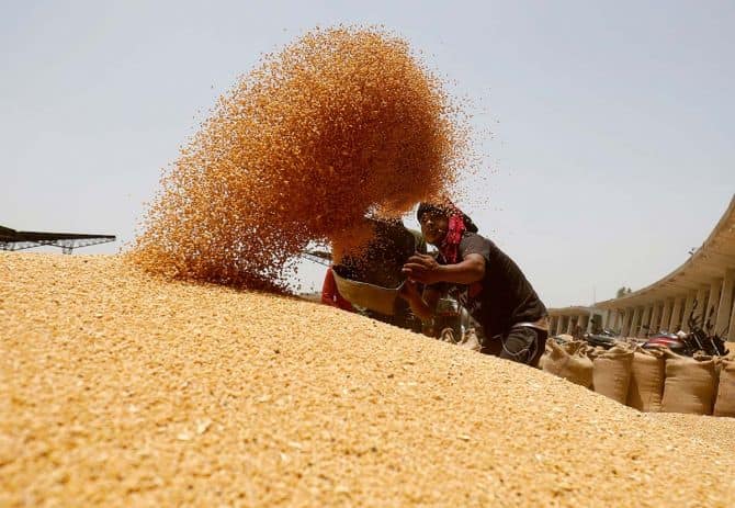 Finance Ministry report says lower Kharif sowing calls for deft management of foodgrain stock and prices