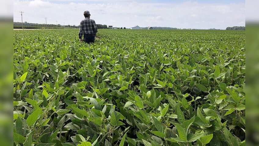 Agritech sectors technological innovations generating investment opportunities - An insight