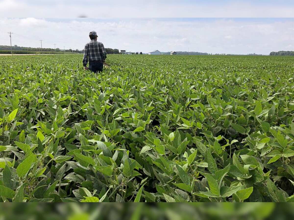 Agritech sectors technological innovations generating investment opportunities -