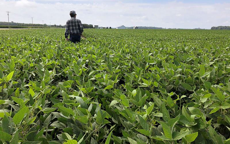 Agritech sectors technological innovations generating investment opportunities - An insight