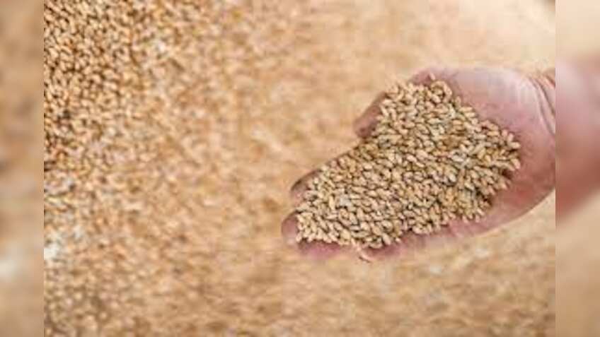 Free ration scheme to be extended beyond September 30? What Food Secretary Sudhanshu Pandey said