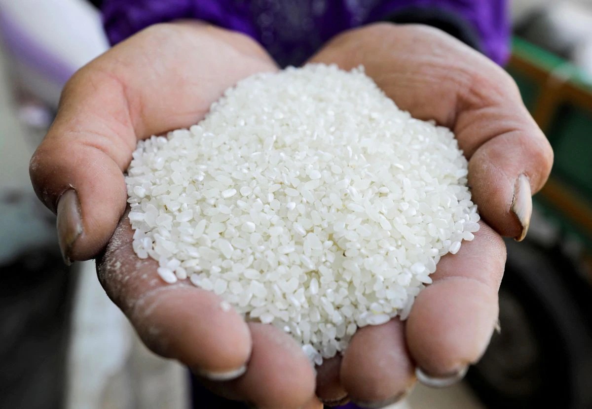 Govt again extends deadline for export of broken rice in transit to October 15