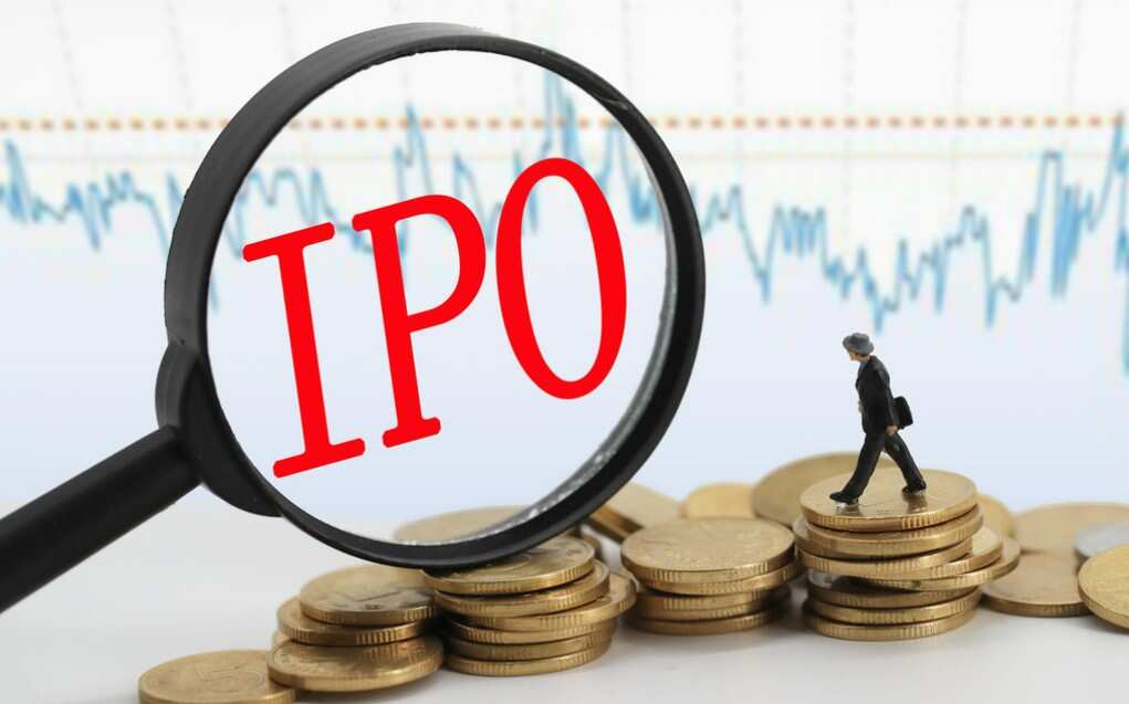 Why Are Retail Investors Losing Interest In Ipos Watch Full Details With Nupur Zee Business 7659