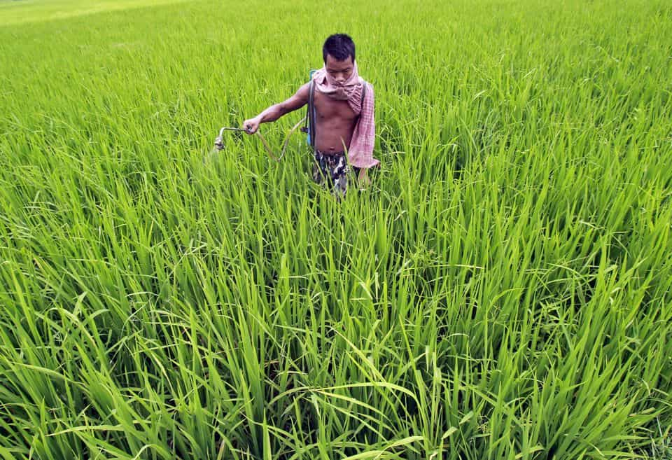 One Nation One Fertilizer scheme: What it is and how it will help farmers - Explained | Zee Business