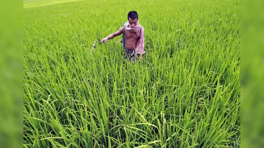 One Nation One Fertilizer scheme: What it is and how it will help farmers - Explained 