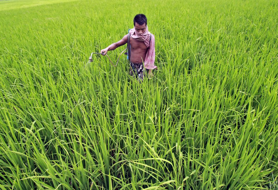 One Nation One Fertilizer scheme: What it is and how it will help farmers - Explained