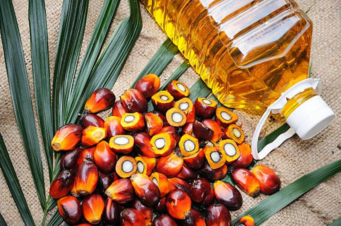 commodities-live-why-palm-oil-prices-are-rising-which-commodity-will