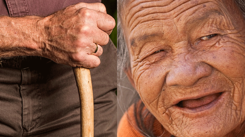 DECODED: Will burning issue of old pension scheme impact the high-octane Himachal poll battle result? How OPS is different from NPS?