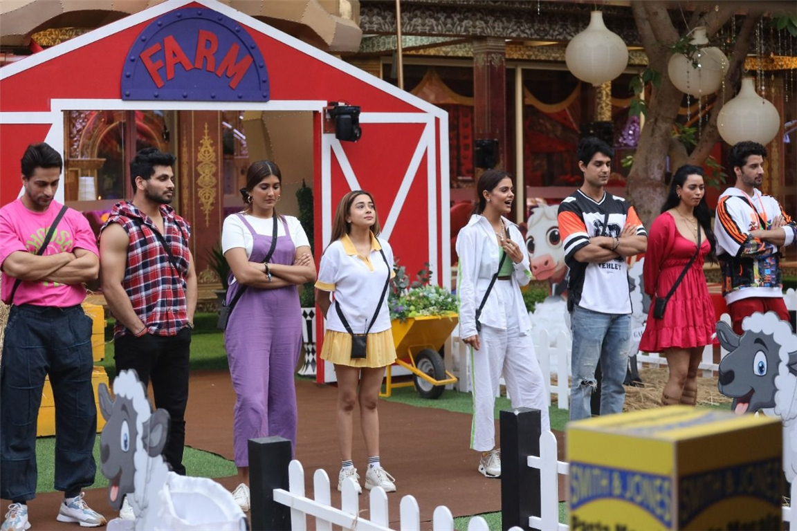 Bigg Boss 16 nomination November 15: Shalin, Tina, Gautam and Soundarya nominated for elimination; Sajid Khan named house captain