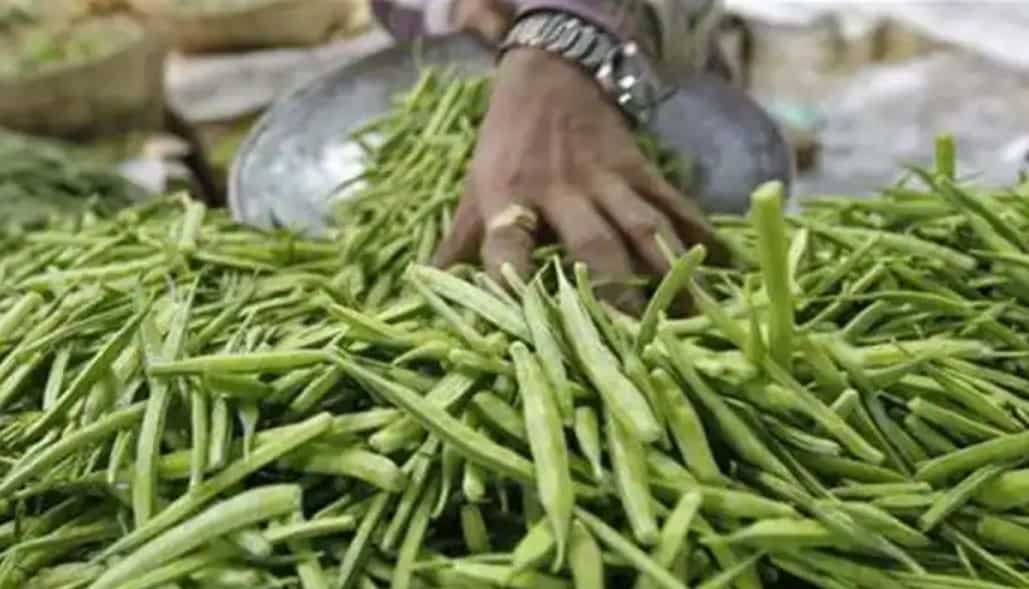 Commodities Live Guar Seed And Guar Gum Hits An Upper Circuit Of 6 On NCDEX Zee Business